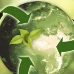 Read more about the article Geri Dönüştürülebilen Atık Türleri