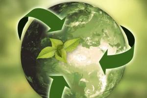 Read more about the article Geri Dönüştürülebilen Atık Türleri