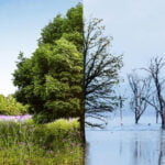 Read more about the article Geri Dönüşüm Neden Önemlidir?