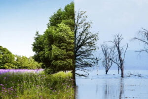 Read more about the article Geri Dönüşüm Neden Önemlidir?