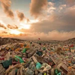 Read more about the article Doğada En Kolay Dönüşen Atıklar Nelerdir?