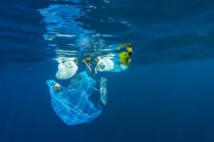 Denizlerdeki Plastik Kirliliği ve Okyanus Geri Dönüşümü